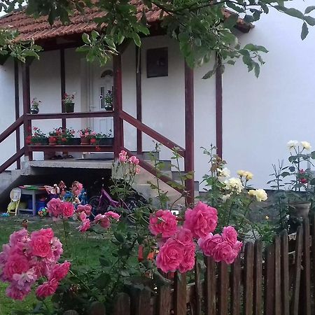 Apartment Dil Kulen Vakuf Esterno foto